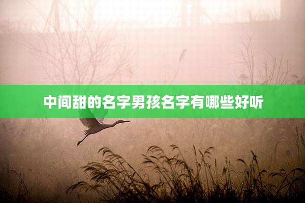 中间甜的名字男孩名字有哪些好听