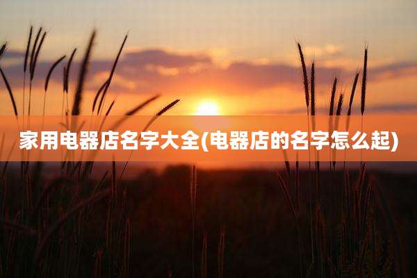 家用电器店名字大全(电器店的名字怎么起)