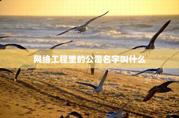 网络工程里的公司名字叫什么