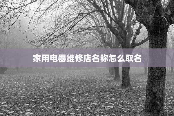 家用电器维修店名称怎么取名