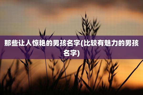 那些让人惊艳的男孩名字(比较有魅力的男孩名字)