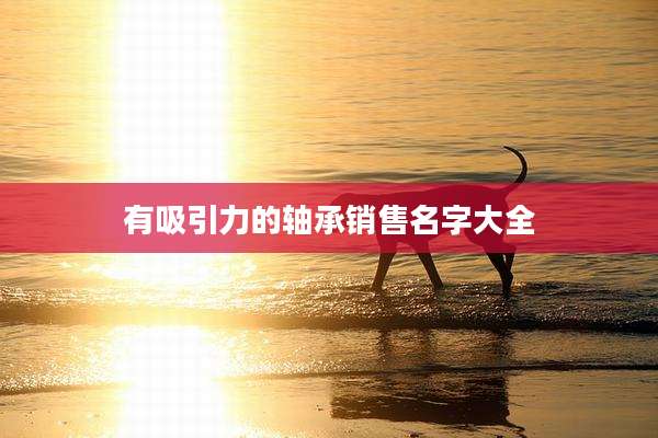 有吸引力的轴承销售名字大全