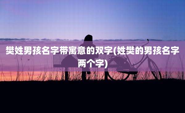 樊姓男孩名字带寓意的双字(姓樊的男孩名字两个字)