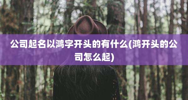 公司起名以鸿字开头的有什么(鸿开头的公司怎么起)