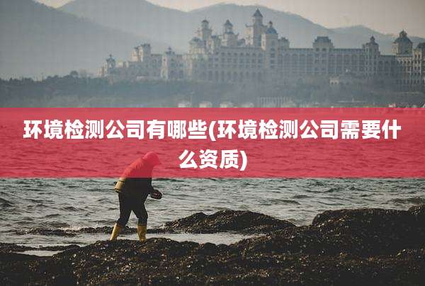 环境检测公司有哪些(环境检测公司需要什么资质)