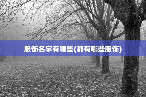 服饰名字有哪些(都有哪些服饰)