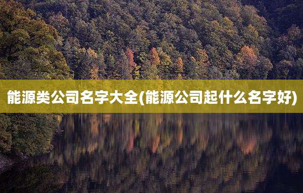 能源类公司名字大全(能源公司起什么名字好)