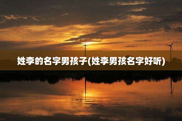 姓李的名字男孩子(姓李男孩名字好听)