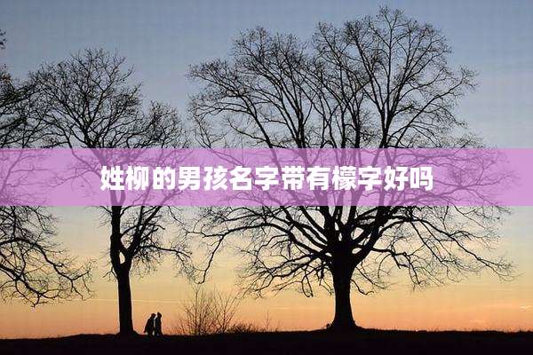 姓柳的男孩名字带有檬字好吗
