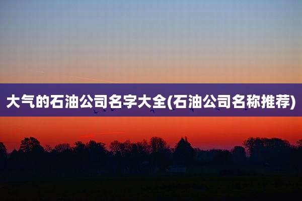 大气的石油公司名字大全(石油公司名称推荐)