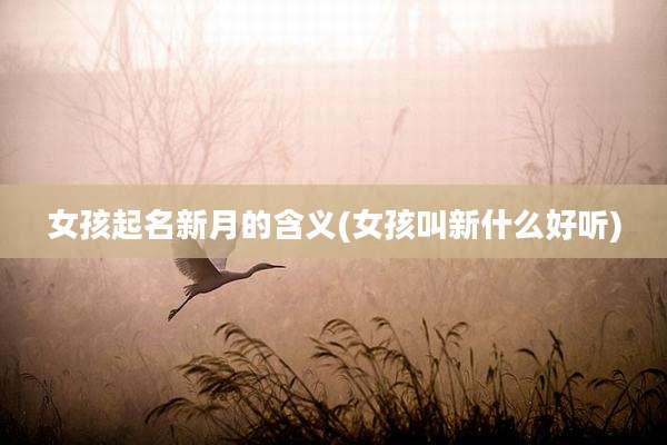 女孩起名新月的含义(女孩叫新什么好听)