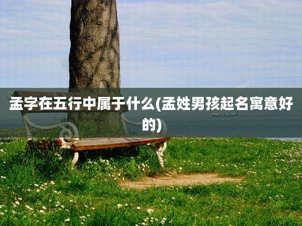 孟字在五行中属于什么(孟姓男孩起名寓意好的)