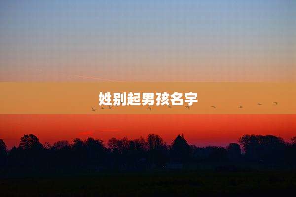 姓别起男孩名字