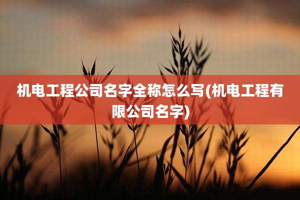 机电工程公司名字全称怎么写(机电工程有限公司名字)