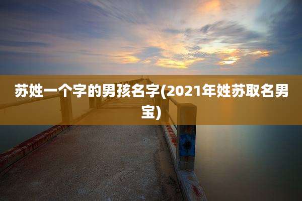 苏姓一个字的男孩名字(2021年姓苏取名男宝)