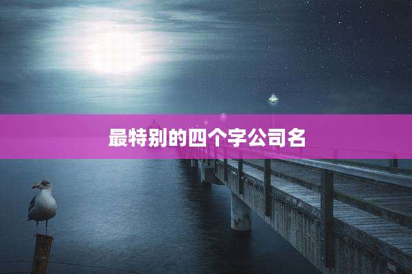 最特别的四个字公司名