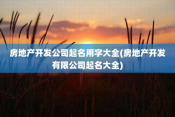 房地产开发公司起名用字大全(房地产开发有限公司起名大全)