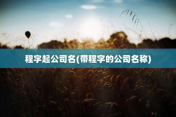 程字起公司名(带程字的公司名称)