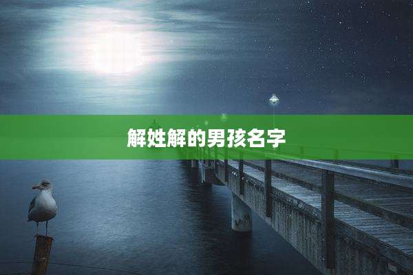 解姓解的男孩名字