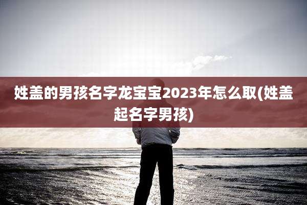 姓盖的男孩名字龙宝宝2023年怎么取(姓盖起名字男孩)