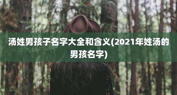 汤姓男孩子名字大全和含义(2021年姓汤的男孩名字)
