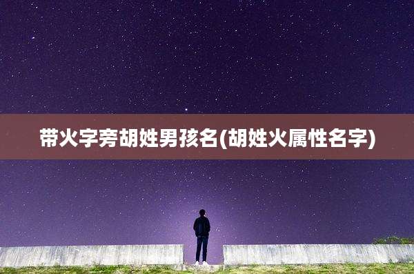 带火字旁胡姓男孩名(胡姓火属性名字)