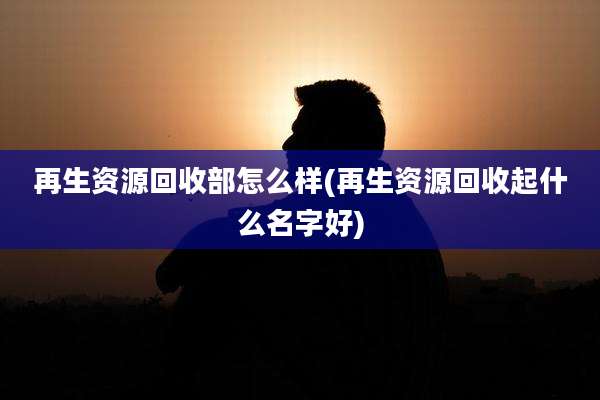 再生资源回收部怎么样(再生资源回收起什么名字好)