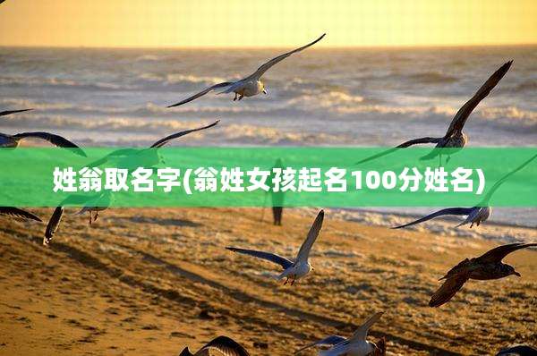 姓翁取名字(翁姓女孩起名100分姓名)