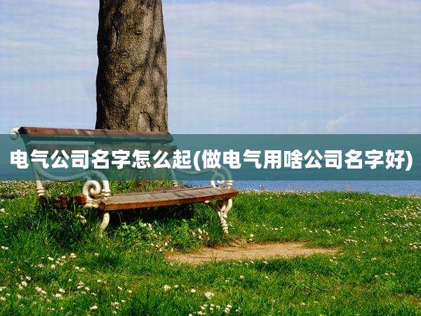 电气公司名字怎么起(做电气用啥公司名字好)