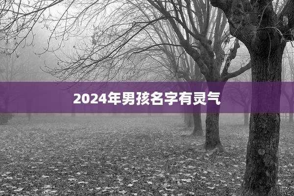 2024年男孩名字有灵气