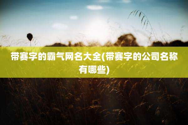 带赛字的霸气网名大全(带赛字的公司名称有哪些)