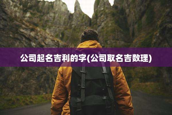 公司起名吉利的字(公司取名吉数理)