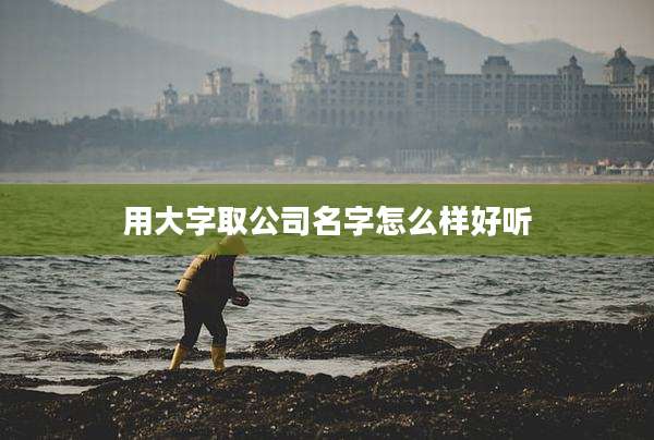 用大字取公司名字怎么样好听