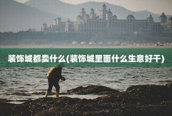装饰城都卖什么(装饰城里面什么生意好干)