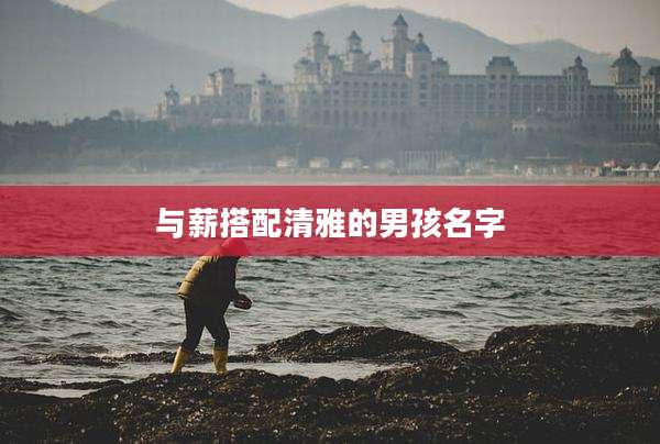 与薪搭配清雅的男孩名字
