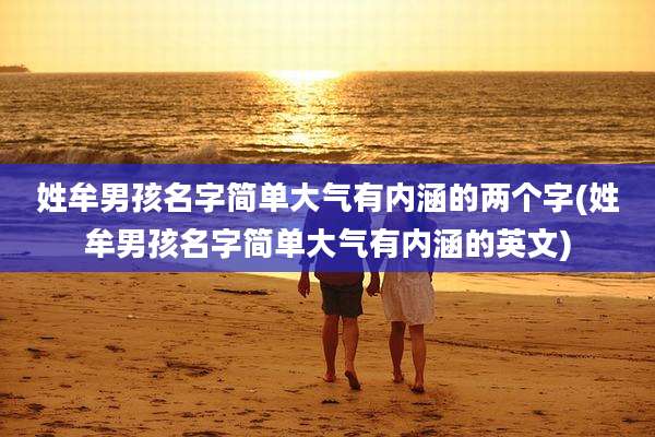 姓牟男孩名字简单大气有内涵的两个字(姓牟男孩名字简单大气有内涵的英文)