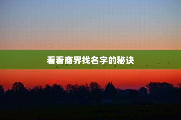 看看商界找名字的秘诀