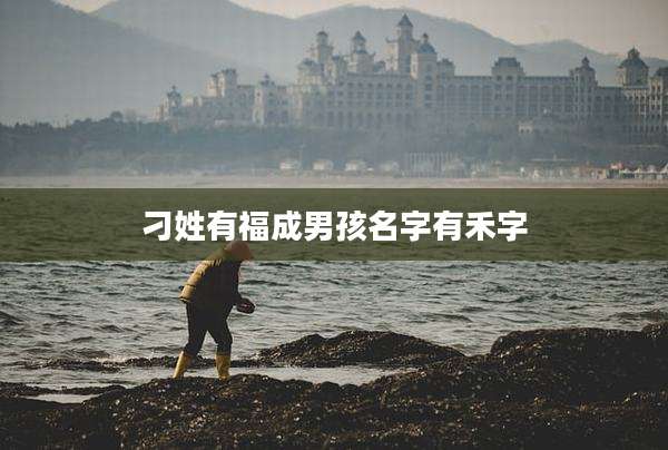 刁姓有福成男孩名字有禾字