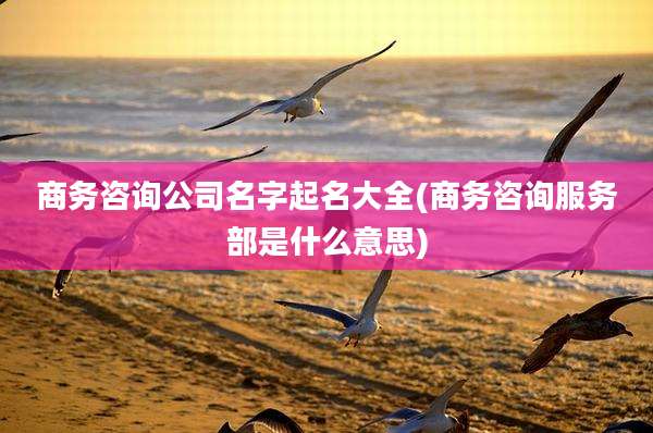 商务咨询公司名字起名大全(商务咨询服务部是什么意思)