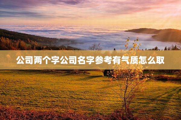 公司两个字公司名字参考有气质怎么取