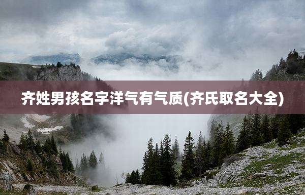 齐姓男孩名字洋气有气质(齐氏取名大全)