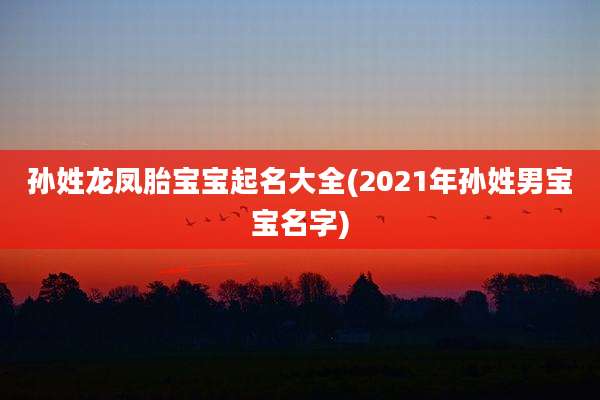孙姓龙凤胎宝宝起名大全(2021年孙姓男宝宝名字)