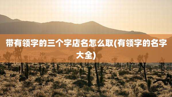 带有领字的三个字店名怎么取(有领字的名字大全)