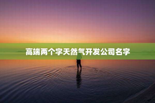 高端两个字天然气开发公司名字