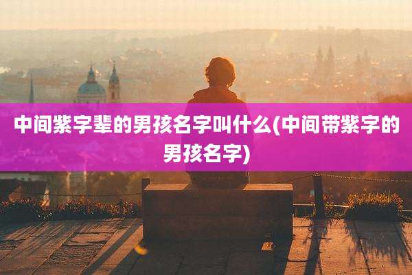 中间紫字辈的男孩名字叫什么(中间带紫字的男孩名字)