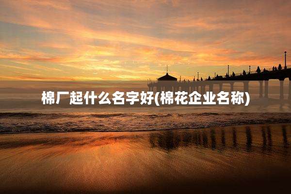 棉厂起什么名字好(棉花企业名称)