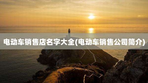 电动车销售店名字大全(电动车销售公司简介)
