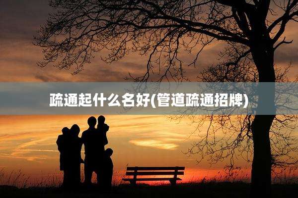 疏通起什么名好(管道疏通招牌)