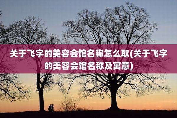 关于飞字的美容会馆名称怎么取(关于飞字的美容会馆名称及寓意)