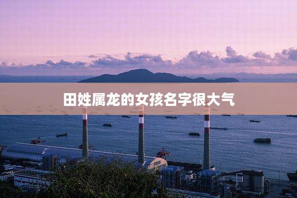 田姓属龙的女孩名字很大气